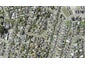 12 Araminta Place, Beachlands, Auckland - Carousel 1
