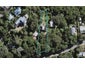 83 Hill Road, Palm Beach, Waiheke Island - Carousel 1