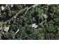 32 Goodwin Avenue, Oneroa, Waiheke Island - Carousel 1
