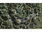 29 Tainui Road, Titirangi, Auckland - Carousel 1