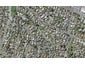 2/16 Sirius Place, Botany Downs, Auckland - Carousel 1