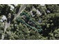 2/30 Kauri Road, Birkenhead, Auckland - Carousel 1