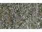 2/4 Merriefield Avenue, Forrest Hill, Auckland - Carousel 1