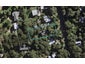 41 Bay Road, Ostend, Waiheke Island - Carousel 1