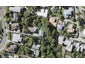 50B Parr Terrace, Castor Bay, Auckland - Carousel 1