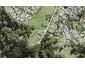 3 Ti Tree Lane, Stanmore Bay, Whangaparaoa - Carousel 1