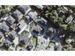 54 Corricvale Way, Northcross, Auckland - Carousel 1