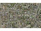 1A Camellia Place, Mount Roskill, Auckland - Carousel 1