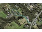 320A Upper Harbour Drive, Greenhithe, Auckland - Carousel 1