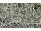 1/34 Holt Avenue, Torbay, Auckland - Carousel 1