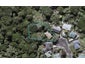 11 Wheeler Place, Upper Vogeltown, New Plymouth - Carousel 1