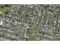 145 Balmoral Road, Mount Eden, Auckland - Carousel 1