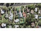 168 Manuka Road, Bayview, Auckland - Carousel 1