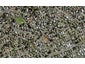 29A Smedley Street, Manurewa, Auckland - Carousel 1