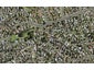 53 Moncrieff Avenue, Clendon Park, Auckland - Carousel 1