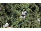 185 Konini Road, Titirangi, Auckland - Carousel 1