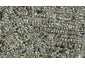 18E Larissa Avenue, Henderson, Auckland - Carousel 1