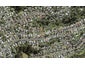40C Helena Street, Massey, Auckland - Carousel 1