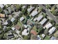 11A Anson Place, Saint Johns, Auckland - Carousel 1