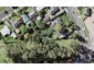 45C Elstree Avenue, Glen Innes, Auckland - Carousel 1