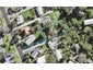 47 Caronia Crescent, Lynfield, Auckland - Carousel 1
