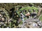 43 Waterbank Crescent, Waterview, Auckland - Carousel 1