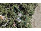 48 Paturoa Road, Titirangi, Auckland - Carousel 1