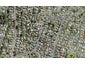 50 Sunvue Road, Glen Eden, Auckland - Carousel 1