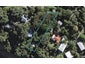 16 Omiha Road, Omiha, Waiheke Island - Carousel 1