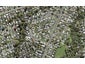 54A Salisbury Road, Birkdale, Auckland - Carousel 1