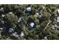 6 Hillside Road, Ostend, Waiheke Island - Carousel 1
