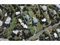 3 Wellington Road, Surfdale, Waiheke Island - Carousel 1