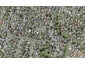 4C Towra Place, Botany Downs, Auckland - Carousel 1