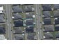 11 Te Whariki Street, Marshland, Christchurch - Carousel 1