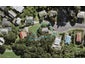 38 Finn Place, Totara Vale, Auckland - Carousel 1