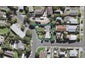 37B Don Croot Street, Morningside, Auckland - Carousel 1