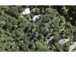 28 Mahoe Road, Titirangi, Auckland - Carousel 1