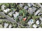 106 Castor Bay Road, Castor Bay, Auckland - Carousel 1