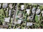 2 Oliver Twist Avenue, Mellons Bay, Auckland - Carousel 1