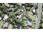2/1096 Whangaparaoa Road, Tindalls Beach, Whangaparaoa - Carousel 1