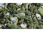 191 Shaw Road, Oratia, Auckland - Carousel 1