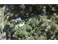2 Fairhaven Walk, Wade Heads, Whangaparaoa - Carousel 1