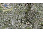 11 Utting Street, Birkdale, Auckland - Carousel 1