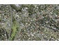 9F Marlborough Avenue, Glenfield, Auckland - Carousel 1