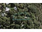 73 Wilma Road, Ostend, Waiheke Island - Carousel 1