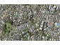 46A Kohimarama Road, Kohimarama, Auckland - Carousel 1