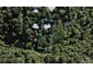 37 Te Aroha Avenue, Oneroa, Waiheke Island - Carousel 1