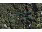 53 Victoria Road South, Onetangi, Waiheke Island - Carousel 1
