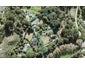 14 Hobbs Road, Matakatia, Whangaparaoa - Carousel 1