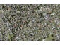 53 Bowater Place, Manurewa, Auckland - Carousel 1